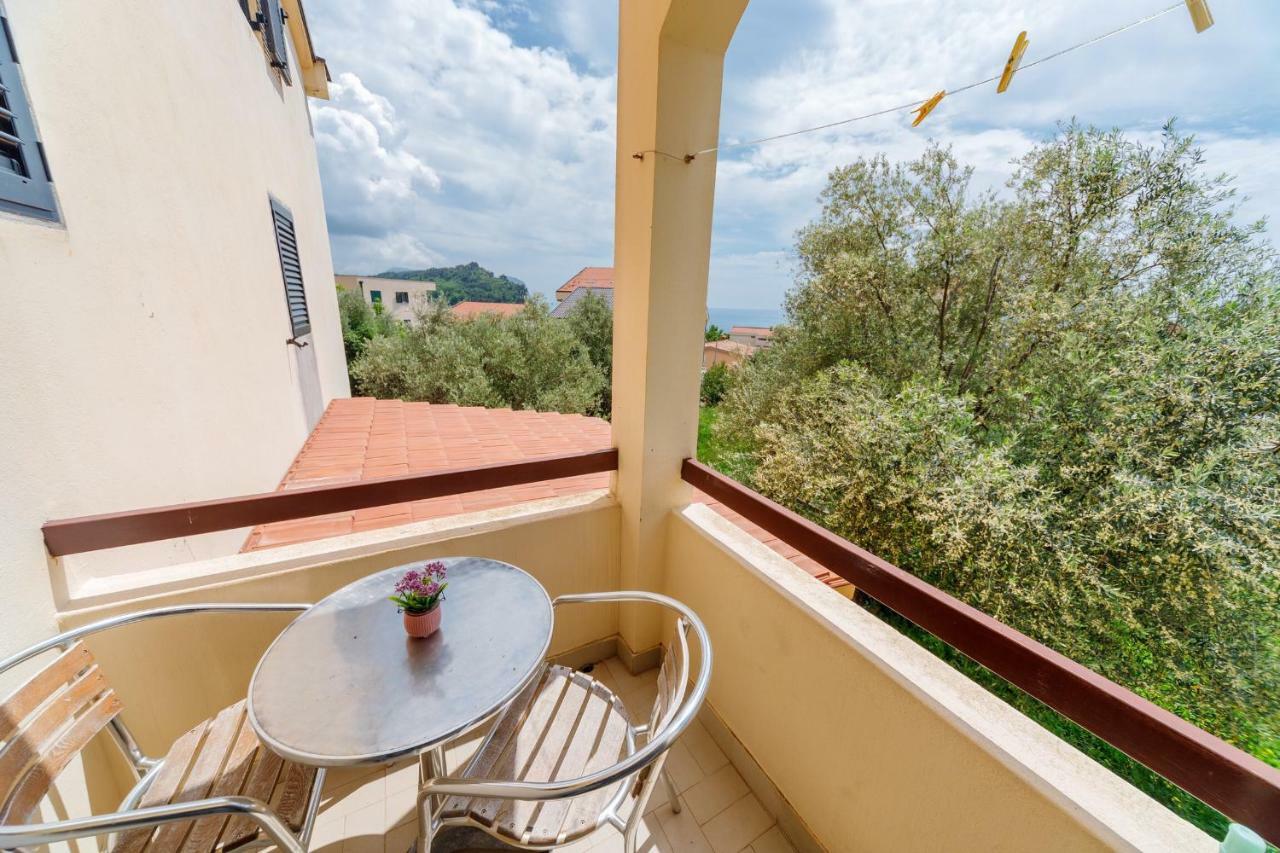 Gregovic Family Apartments Petrovac Extérieur photo
